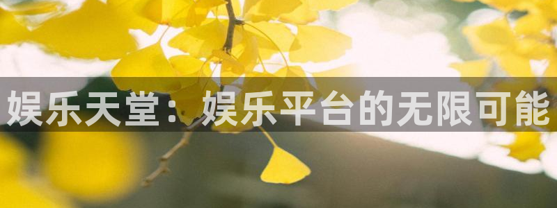 pg国际服：娱乐天堂：娱乐平台的无限可能