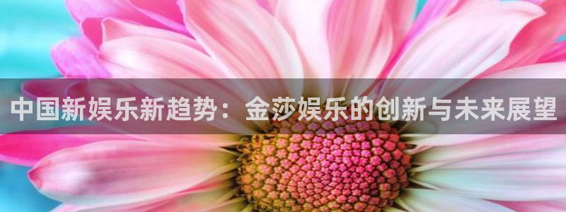 pg国际平台：中国新娱乐新趋势：金莎娱乐的创新与未来展望