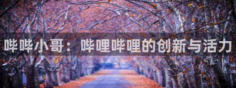 pg国际人：哔哔小哥：哔哩哔哩的创新与活力