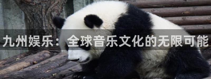 pg国际下载：九州娱乐：全球音乐文化的无限可能