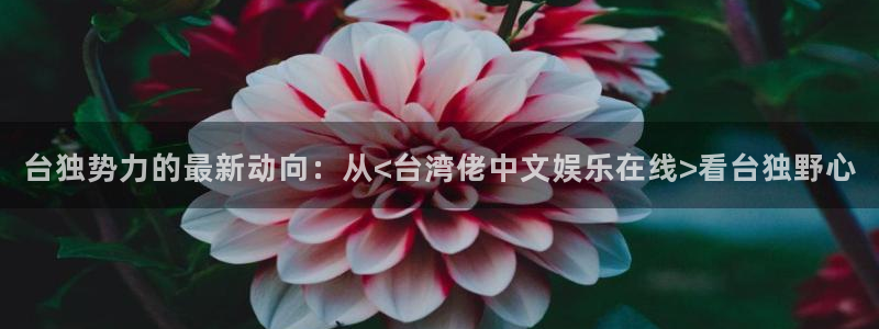 upload/20250701114914.jpg