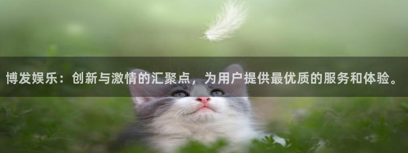 pg国际服：博发娱乐：创新与激情的汇聚点，为用户提供最优质的服务和体验。