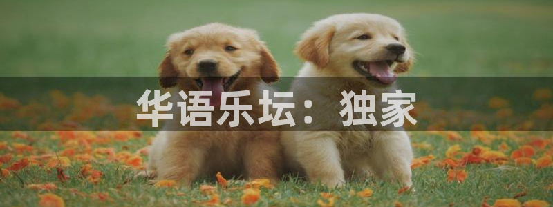pg国际下载：华语乐坛：独家